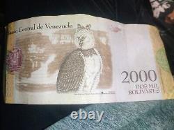 2000 Bolivares 2016 World Paper Money UNC Currency Bill