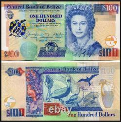 2021 belize 100 Dollars BANKNOTE CURRENCY UNC