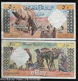 Algeria 50 Dinars P124 1964 Camel Unc Large Rare France Currency Money Bill Note