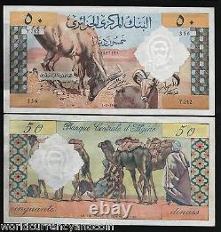Algeria 50 Dinars P-124 1964 Camel Unc Large Rare France Currency Bill Note