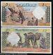 Algeria 50 Dinars P-124 1964 Camel Unc Large Rare France Currency Bill Note