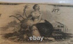 Antique $2 1800's Bank of Augusta Georgia Bank Note Obsolete Currency UNC