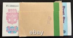 RUSSIA 5000 RUBLES P-252 1992 x 100 Pcs Lot BUNDLE UNC RUSSIAN CURRENCY BANKNOTE