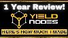 Yield Nodes 1 Year Review Here S How Much I Made