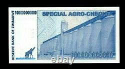 Zimbabwe 100 Billion Dollars Special Agro-Cheque, 2008, P-64z, UNC, Replacement