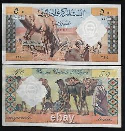 Algérie 50 Dinars P-124 1964 Camel Unc Large Taille Rare World Currency Banque Note