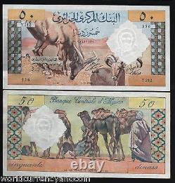 Algérie 50 Dinars P-124 1964 Chameau Unc Grand Rare Billet de France