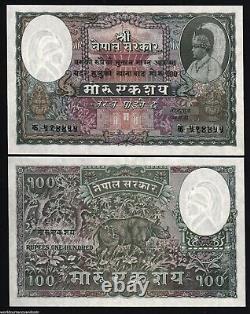 Népal 100 MOHRU P-7 1951 ROI UNC Taille Large RHINOCÉROS Rare Monnaie Népalaise