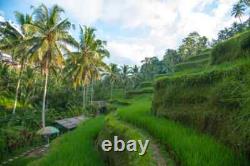 RUPIAH INDONÉSIENNE 100 000 X 100 = 10 MILLIONS (5 000 000) IDR UNC INDONÉSIE